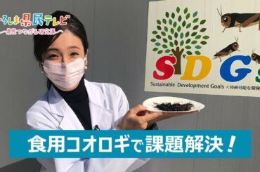 ひろしま県民テレビ「社会課題の解決に挑む！RING HIROSHIMA」（令和3年12月5日）