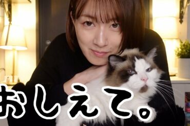 すみっコぐらしと猫トイレの話と健康第一って話