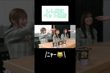 日向坂46 猫が来店【カップスター/ しし庵】#shorts #日向坂46 #東村芽依
