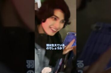 #鈴木愛理「何なんこれ❗️」#寝起きドッキリ#新ドラマ #アニマルズ 🐯💄 #shorts