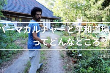 パーマカルチャーと平和道場ってどんなところ？【今日の道場】