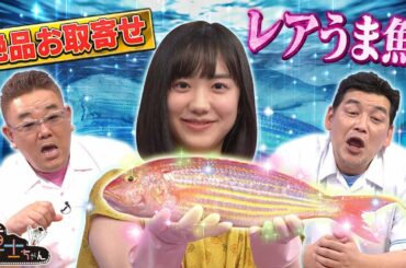 【芦田愛菜 激レア魚にビビりまくり!?】お取り寄せできる激レア魚の福袋とは!?