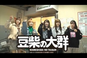 【豆柴の大群】YouTube企画始動‼︎