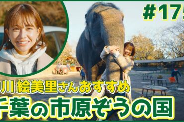 #175　千葉県・市原市（中川絵美里）