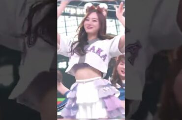 梅マヨの THE FOX #梅澤美波 #梅マヨ #thefox #shorts