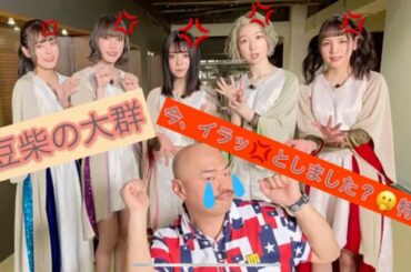 【豆柴の大群】今、イラッとしました？🤭特集