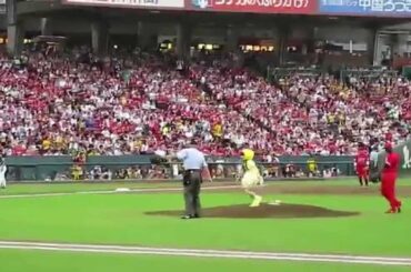 NMB市川美織さん、フサフサの化け物に襲われる。