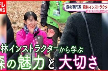 【森の案内人】森に関する豊富な知識を持つ森林インストラクターとは？
