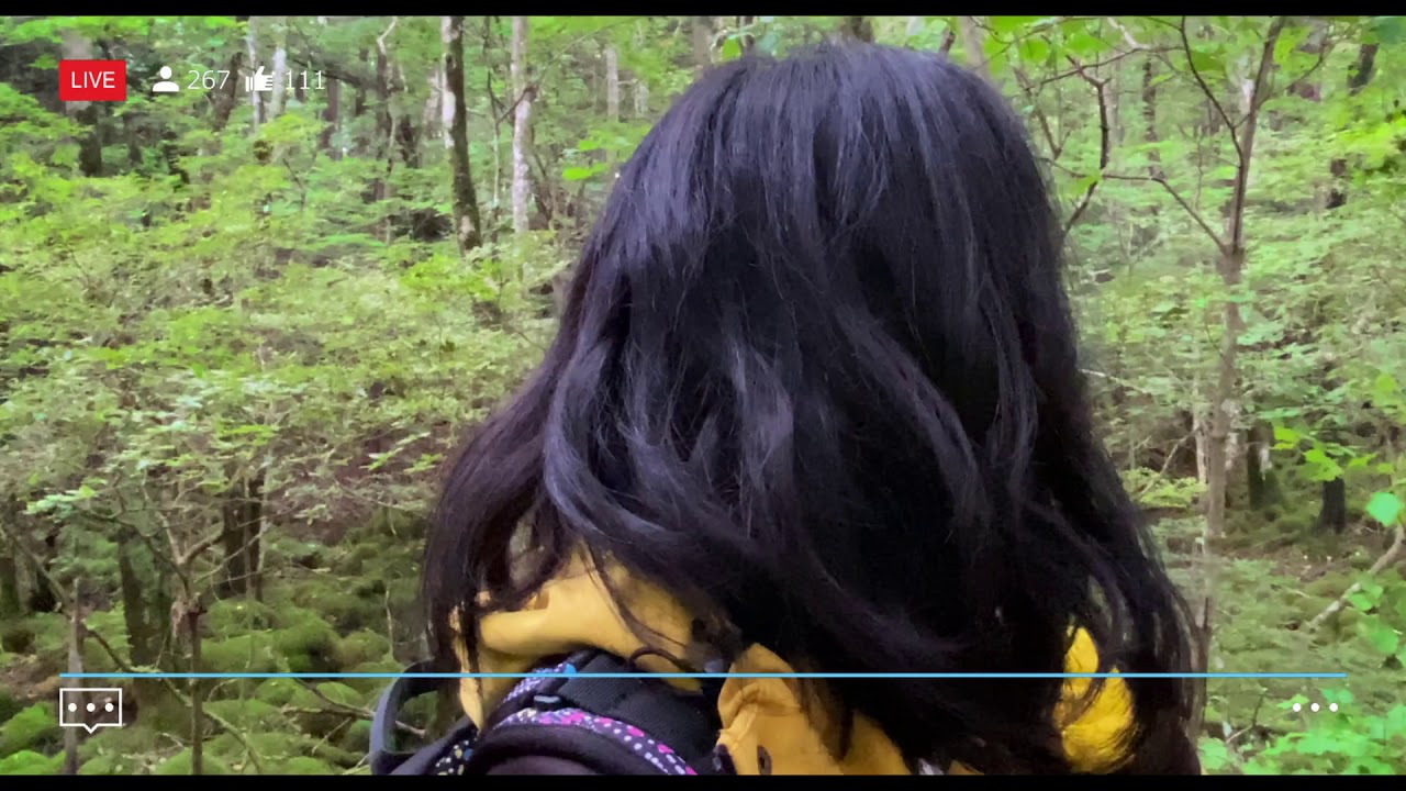 映画「樹海村 じゅかいむら」予告編(出演:山田杏奈 、山口まゆ、神尾楓珠) 映画「樹海村 じゅかいむら」予告編(出演:山田杏奈 、山口まゆ、神尾楓珠)