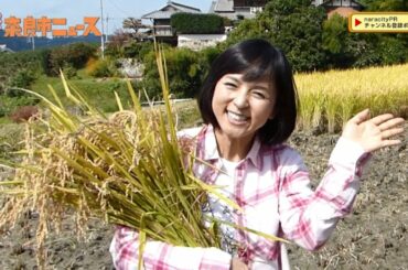 奈良市ニュース　観光大使・いとうまい子さんが「まいまい田んぼ」で収穫祭！