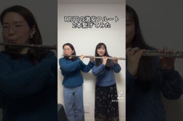 激安フルートを2本繋げた結果…？！ #フルート #吹奏楽