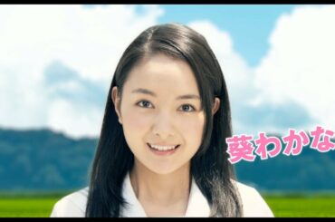 葵わかな＆佐野勇斗『青夏 Ao-Natsu』特報映像