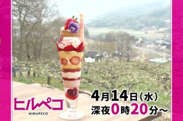 ☆ヒルペコ☆4月14日(水)放送
