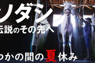 復活の秋へ！白き桜の女王ソダシの夏休み【競馬BEAT2021】