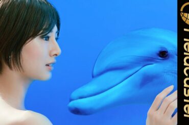 北川景子、ショートヘア & 肩出しドレスが美しすぎる… 部屋一面の「4Kブラビア」と美の競演！ ＜ソニー＞ 新CM