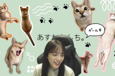 PLAY ALIVE : Apex Legends Vol.3 貴島明日香視点