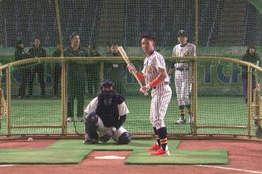 1/2（木）OA「とんねるずのスポーツ王は俺だ！」杉谷拳士のバッティング練習