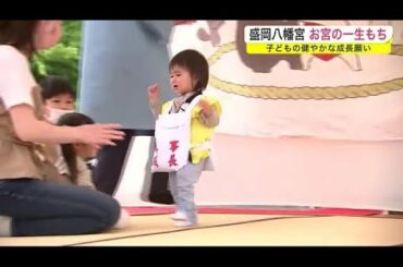 盛岡八幡宮でお宮の一生もち　子どもの健やかな成長願い＜岩手・盛岡市＞ (22/05/06 08:00)