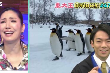 【東大王】2021年8月18日放送 伊沢が驚いた生き物クイズ！【TBS】