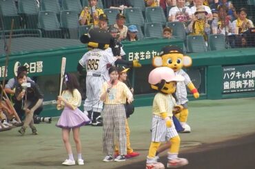 阪神タイガース2018/ＮＭＢの山本彩加さんの始球式はこうなった(2018.06.10)