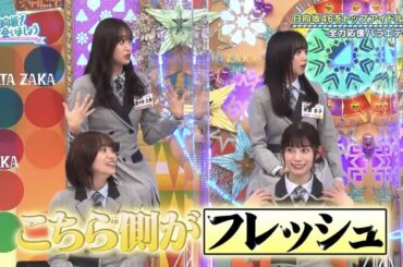影山の回答に合わせたボケが出来る腕のあるキャプテン佐々木久美【日向坂46】