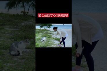 猫と会話する渋谷凪咲 #shorts