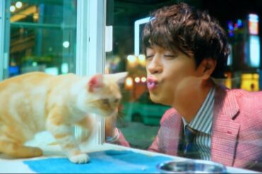 斎藤工、桐谷美玲とあの猫との三角関係にズキューン！？　ワイモバイル新CM『はじまる』篇・『登場』篇