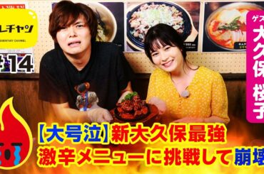 【大号泣】新大久保最強激辛メニューに挑戦して崩壊！【エレチャン#14】