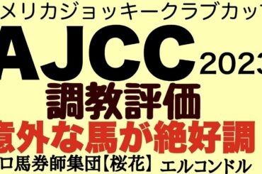 プロ馬券師集団桜花エルコンドル氏のAJCC2023調教評価！！各人気馬の動きと状態は？！意外な馬の動きがいい？！