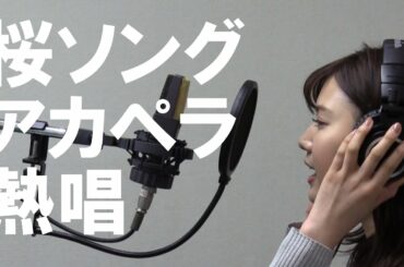 桜ソングをアカペラ熱唱（佐橋アナの場合）