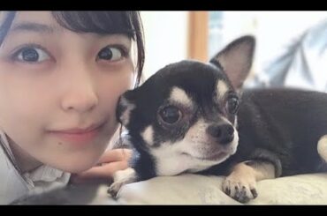 乃木坂46♡今日の推しメン♡柴田柚菜