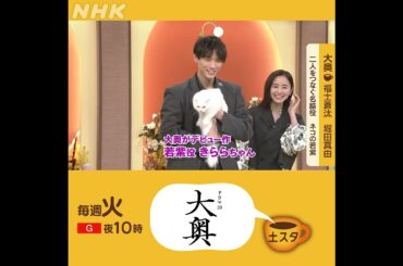 福士蒼汰・堀田真由×大奥 | 名脇役はネコ | 土スタ | 切り抜き | NHK | #shorts