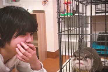 欅坂46 平手友梨奈　＜自撮りＴＶ＞