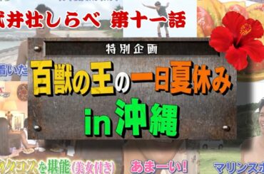 武井壮しらべ・第11話　武井壮の休日IN沖縄編