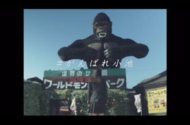 欅坂46 小池美波 『♯がんばれ！小池』