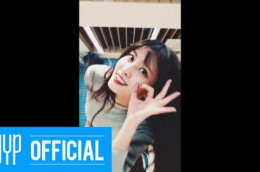 TWICE MOMO "YES or YES" Dance Video