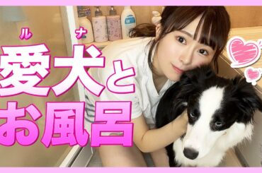 愛犬とお風呂！びちゃびちゃになりました（笑）