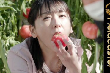美味しそうにトマトを食べる新垣結衣さんに注目！「アサヒ 十六茶」