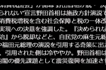 秋元優里　20120124放送 ニュースJAPAN.wmv