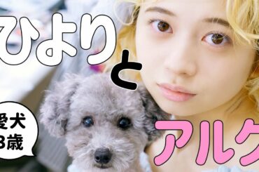 アルクくん（3歳）に桜田ひよりがインタビュー♡