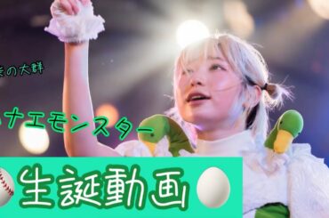 【豆柴の大群】ハナエモンスター生誕動画【12/28Happybirthday!!!⚾️🥚】