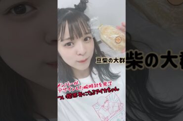 【豆柴の大群】つい関西弁が出てしまうアイカちゃん【サクッと豆柴】