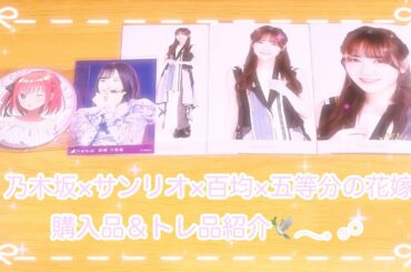 ❥❥❥ 乃木坂×サンリオ×百均×五等分の花嫁 購入品＆トレ品紹介 。