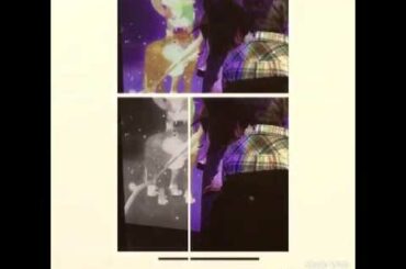 大分県へいらっしゃいPart7