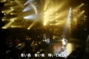 森高千里 『太陽と青い月』 (from TAIYO Tour)