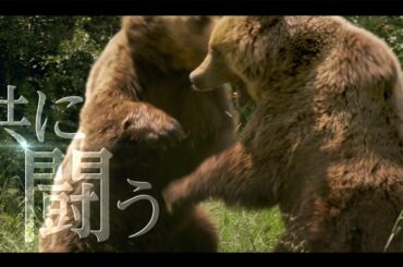 笑福亭鶴瓶、木村文乃がナレーション　映画「シーズンズ 2万年の地球旅行」予告編