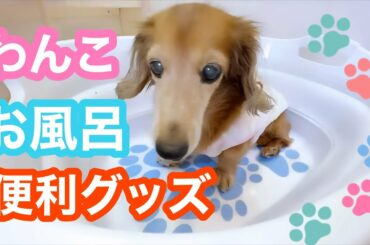 お風呂滑り止めシール発見！【老犬介護No.124】