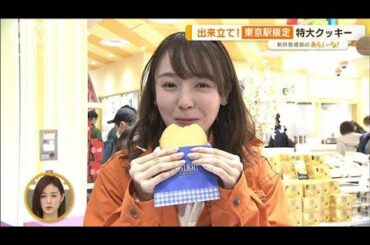 「東京おかしランド」リニューアル…“東京駅限定”特別メニュー集結【あらいーな】(2023年1月27日)