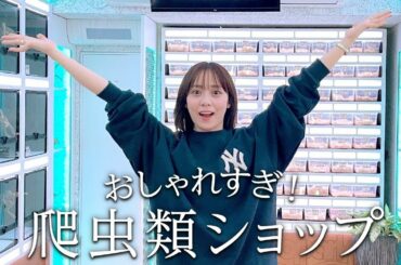 【爬虫類ショップ後編】デンドロパークさんには他にもいっぱい可愛い子たちがいるよー！