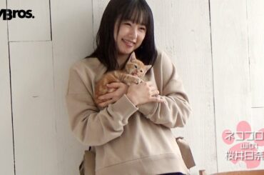 ネコブロス誕生！桜井日奈子メーキング動画